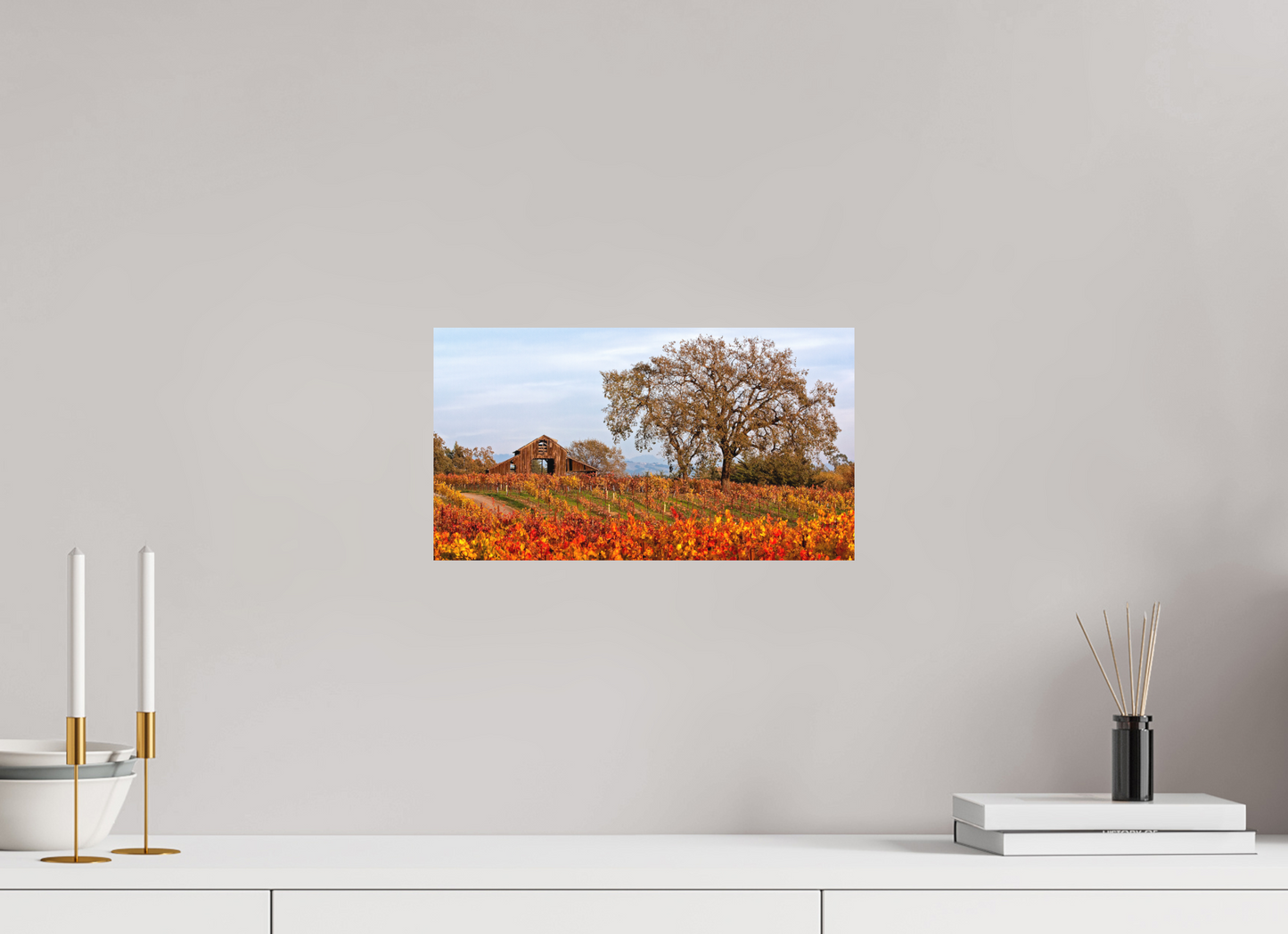 Barn and Vineyards
