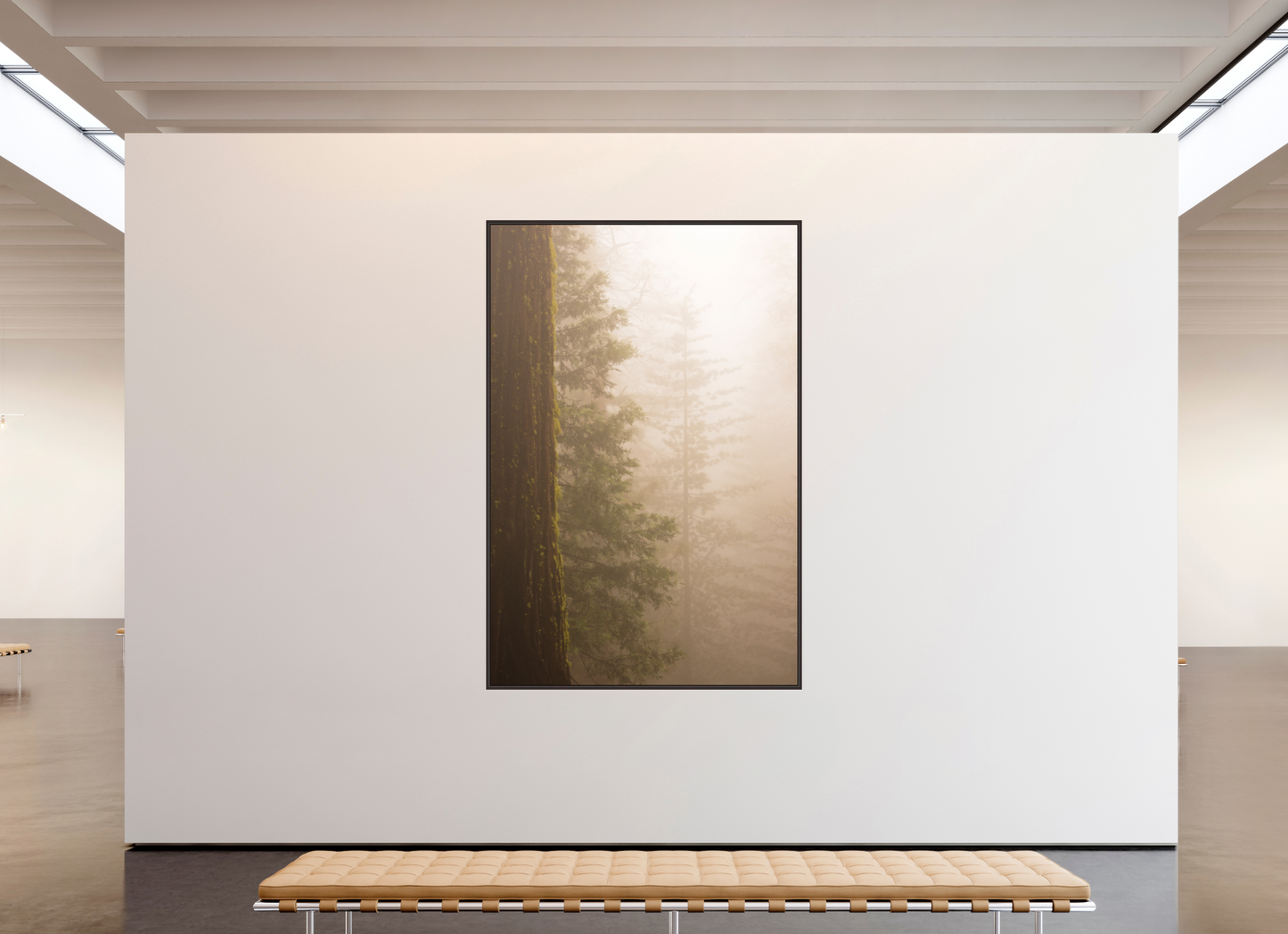 Yosemite Woods (Collector Edition)