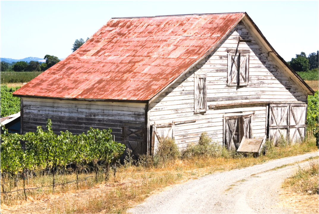 White Barn (Collector Edition)
