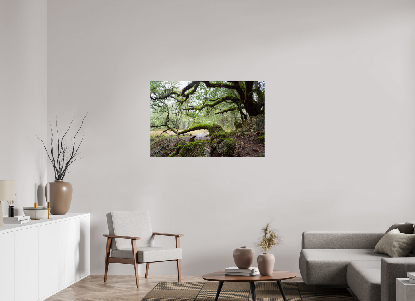 Forest Path (Collector Edition)