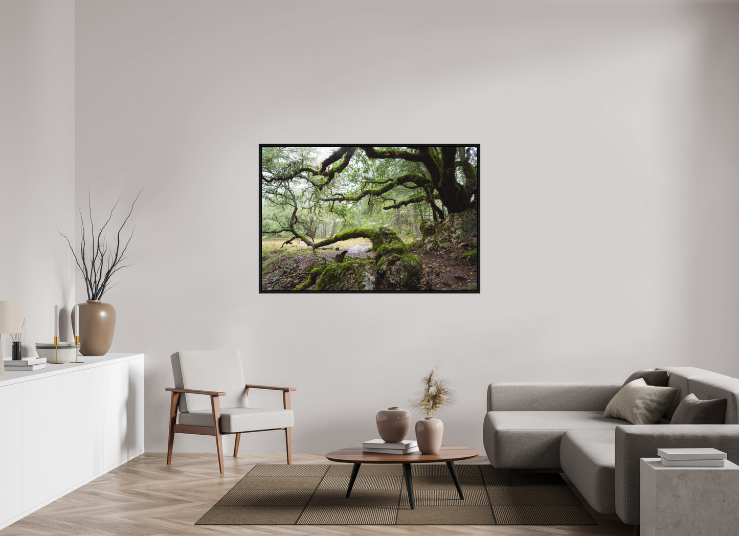 Forest Path (Collector Edition)
