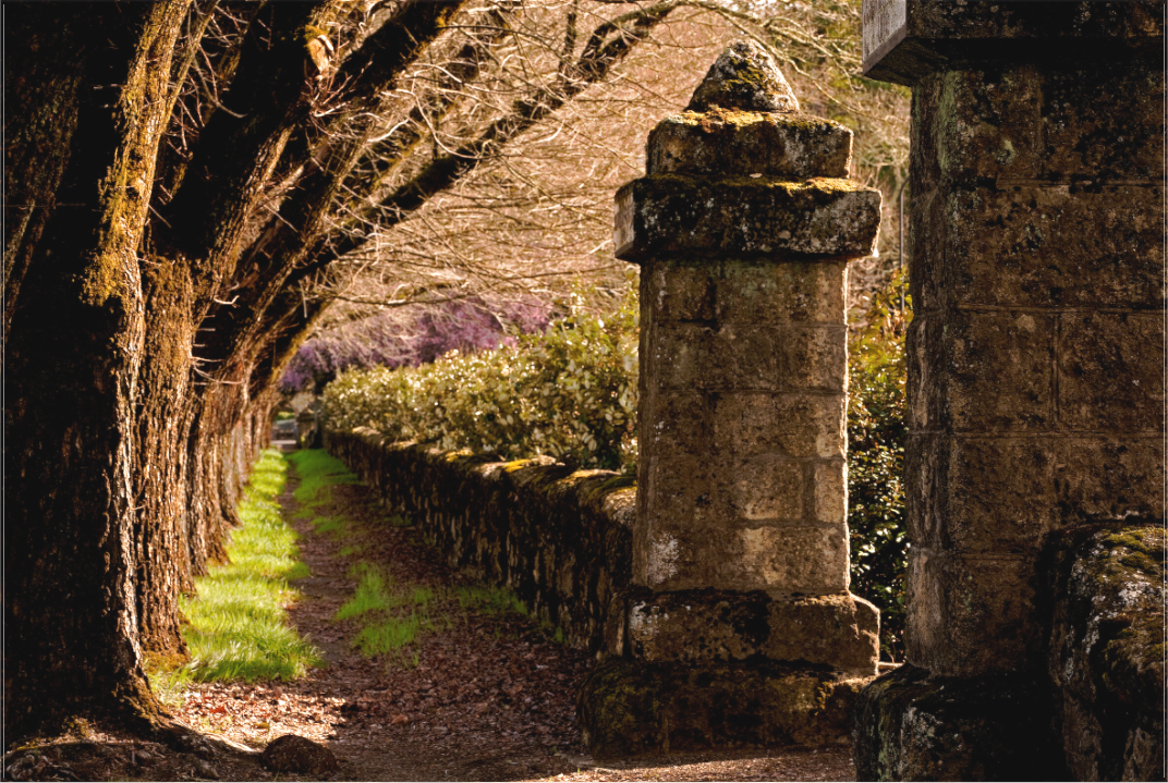 Ancient Path