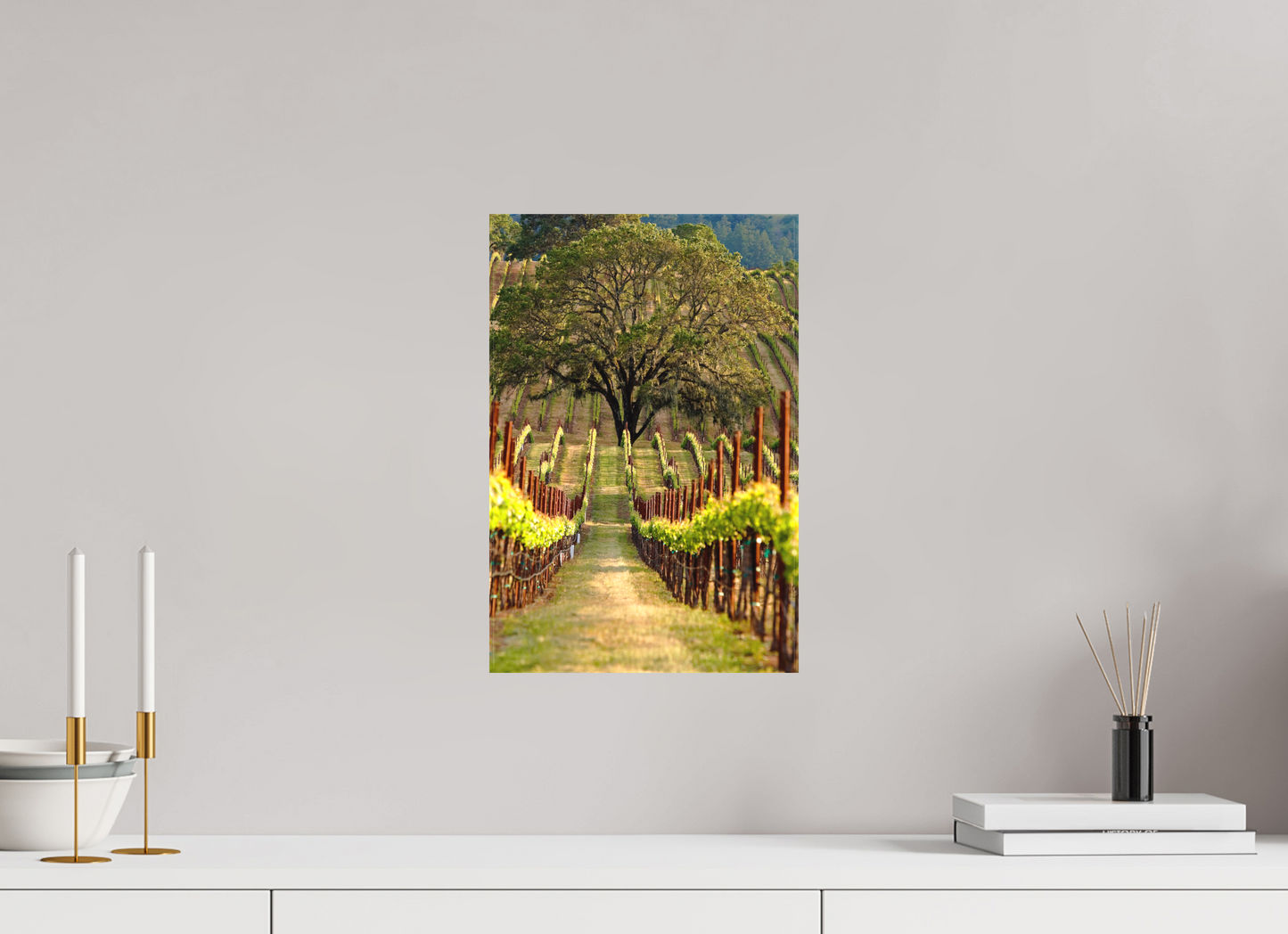 Alexander Valley