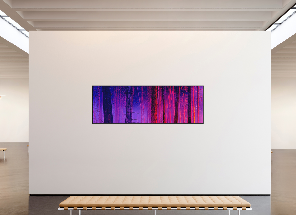 93 x 31″, Acrylic Face Mount with Black Float Frame The Color of Firelight (Collector's Edition)
