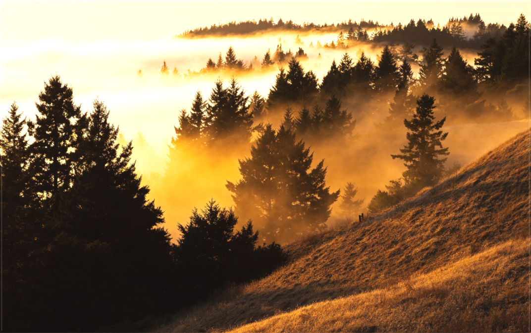Bolinas Ridge