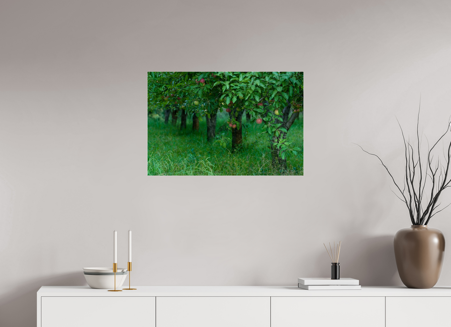 Apple Orchard