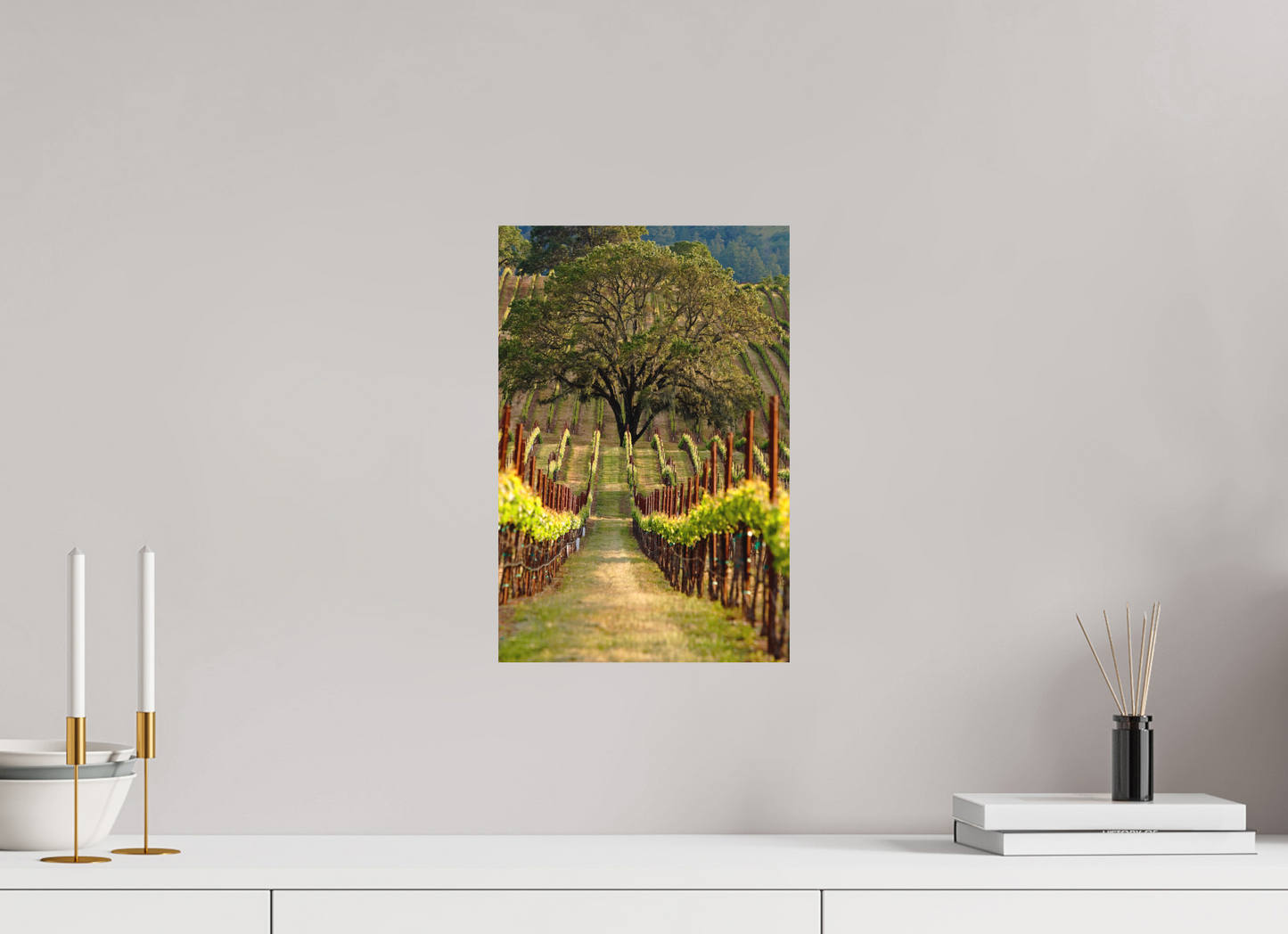 Alexander Valley