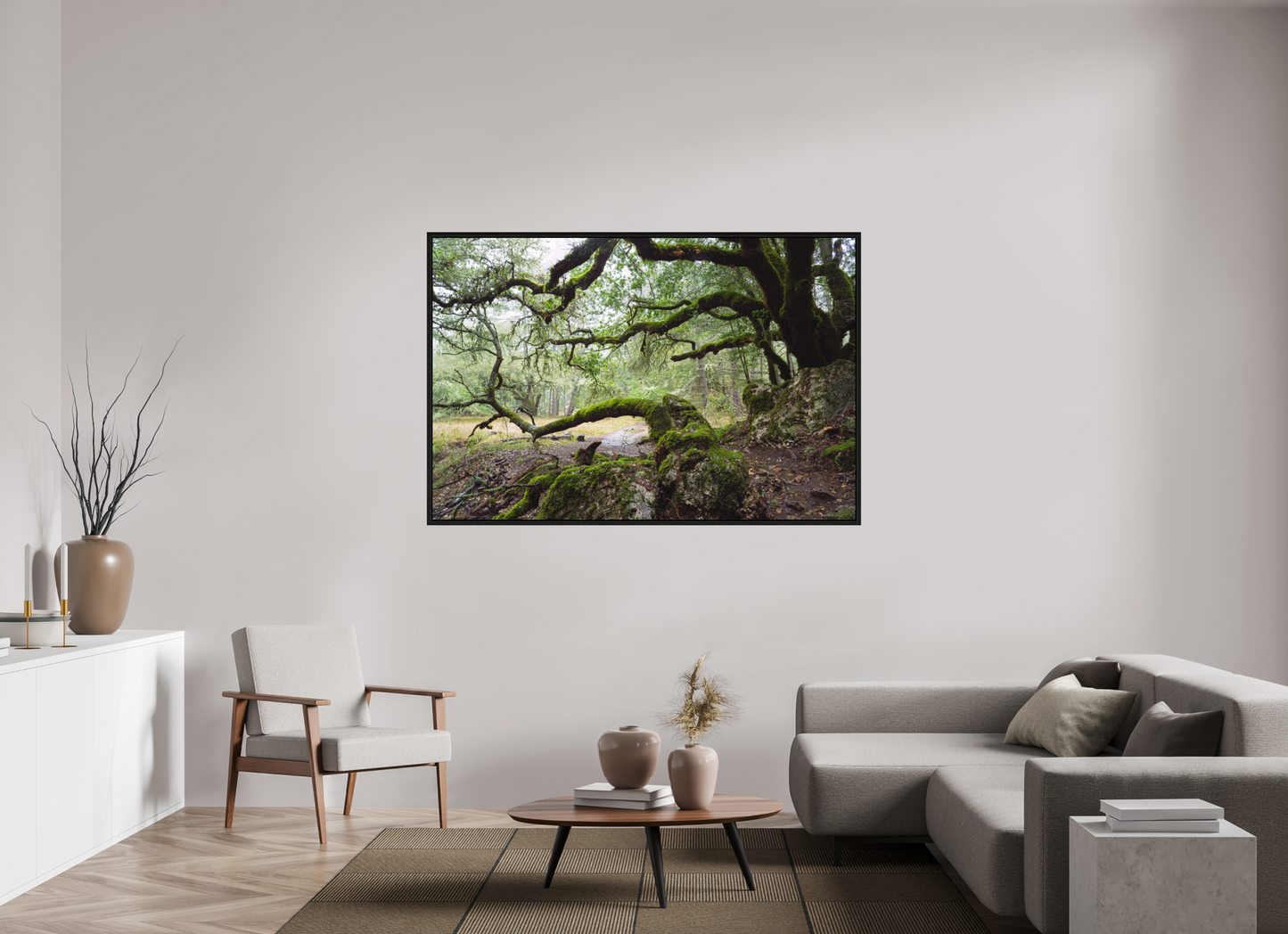 Forest Path (Collector Edition)