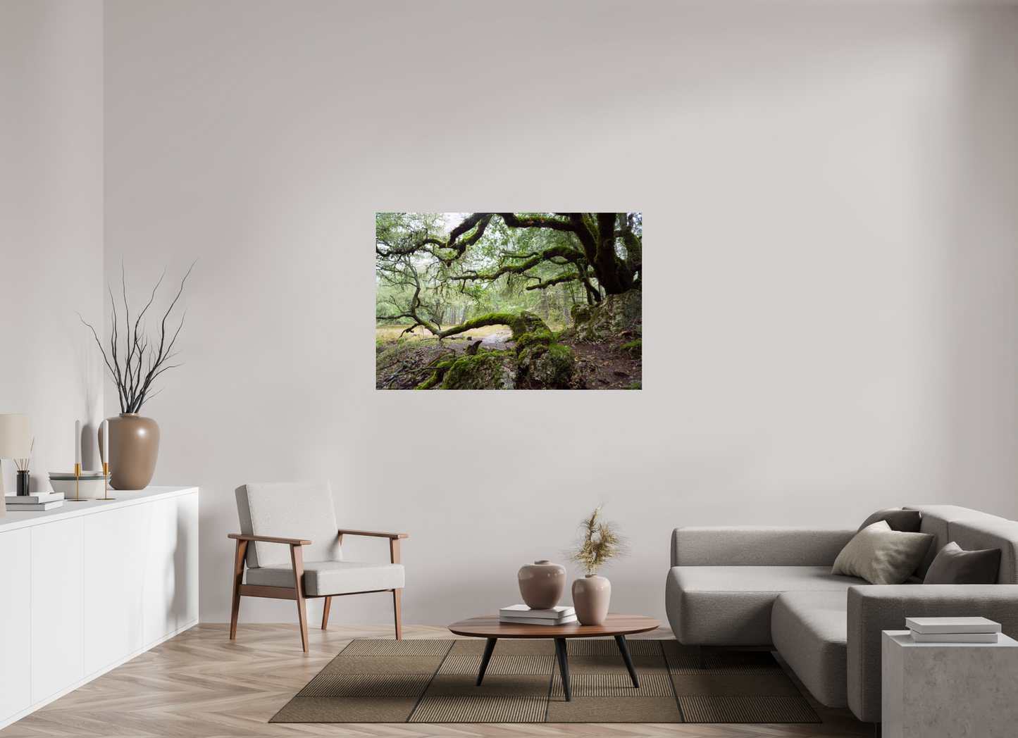 Forest Path (Collector Edition)