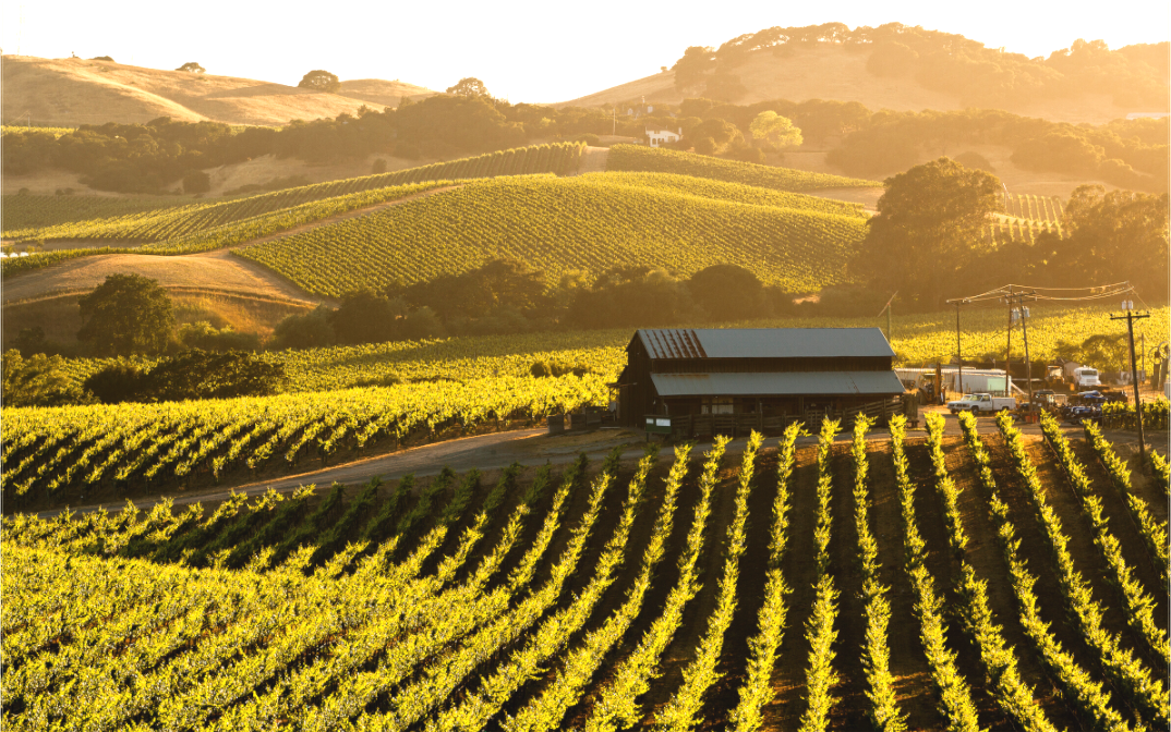 Carneros Barn (Collector Edition)
