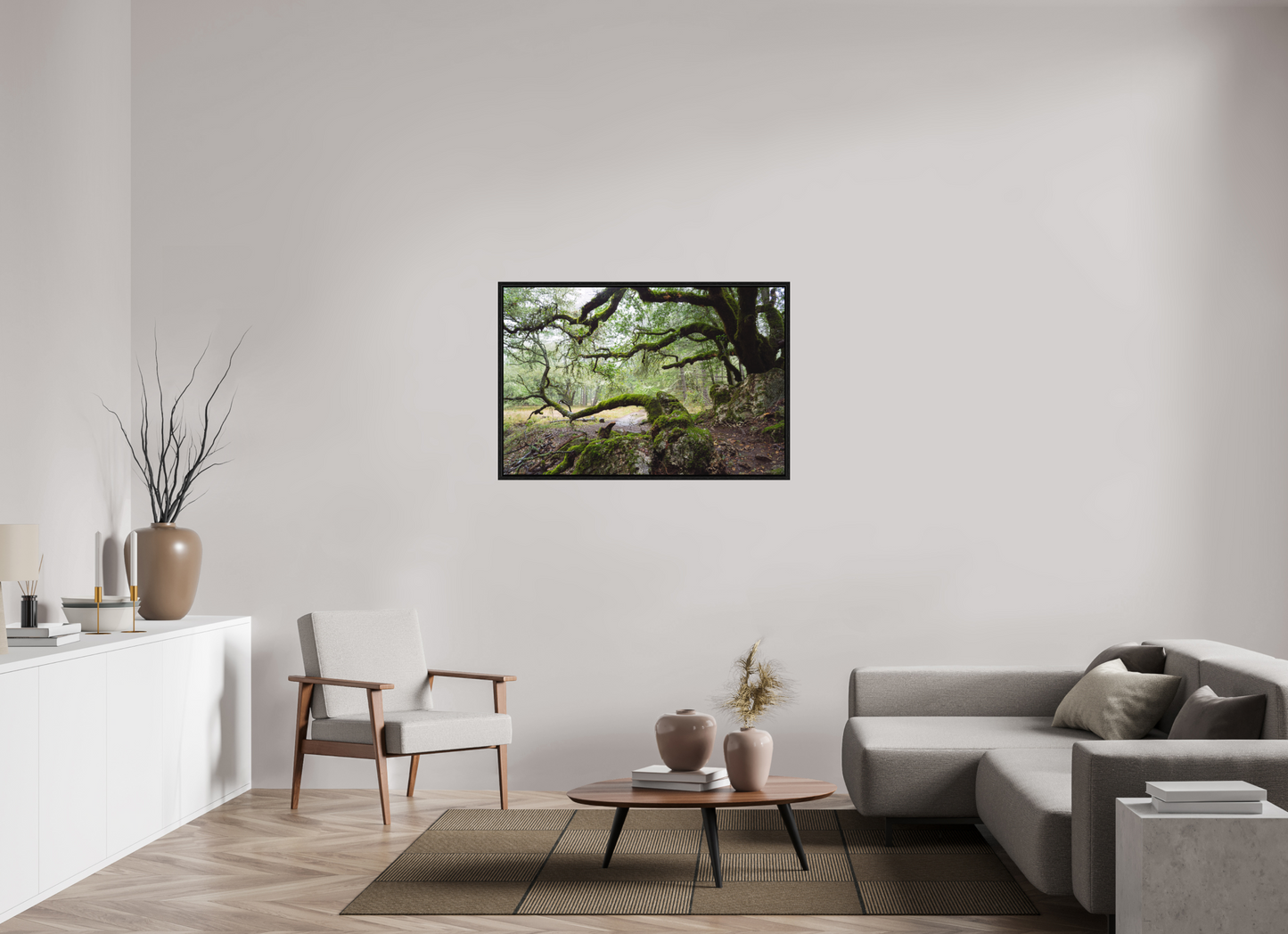 Forest Path (Collector Edition)