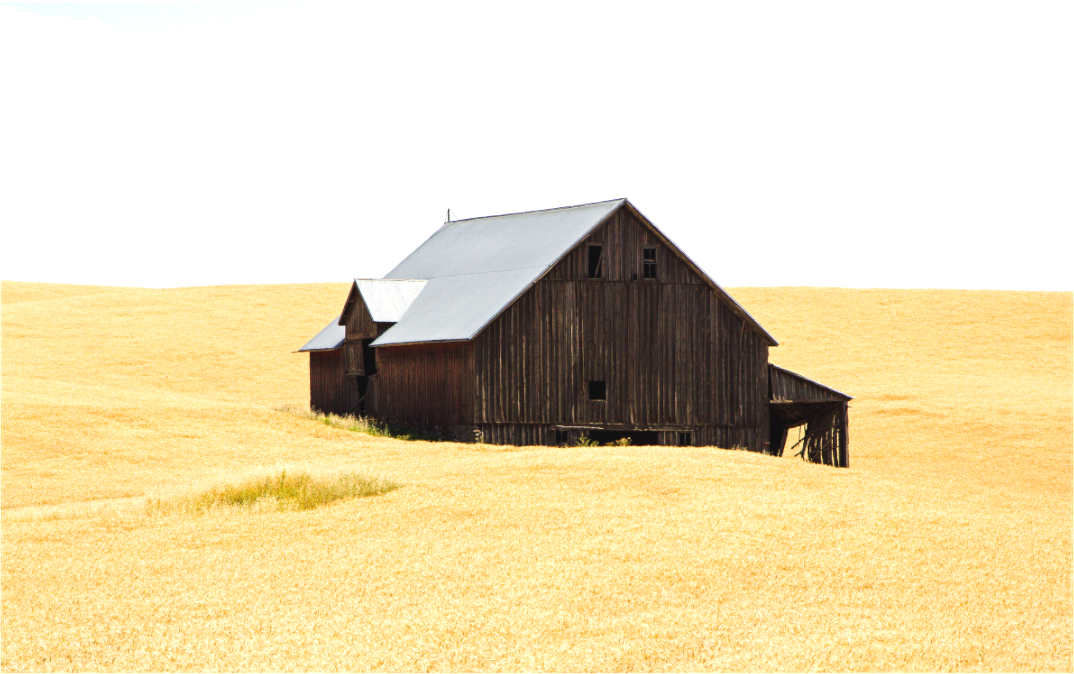 Weathered Barn (Collector Edition)