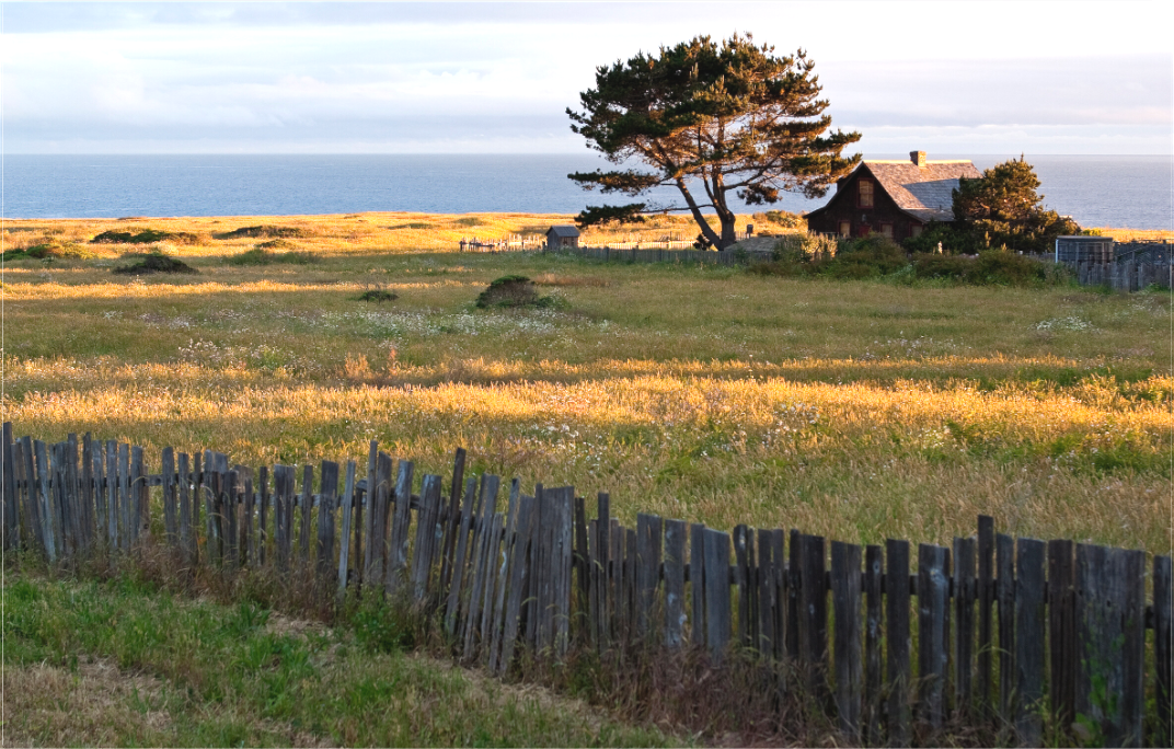 Fence and Field (Collector Edition)