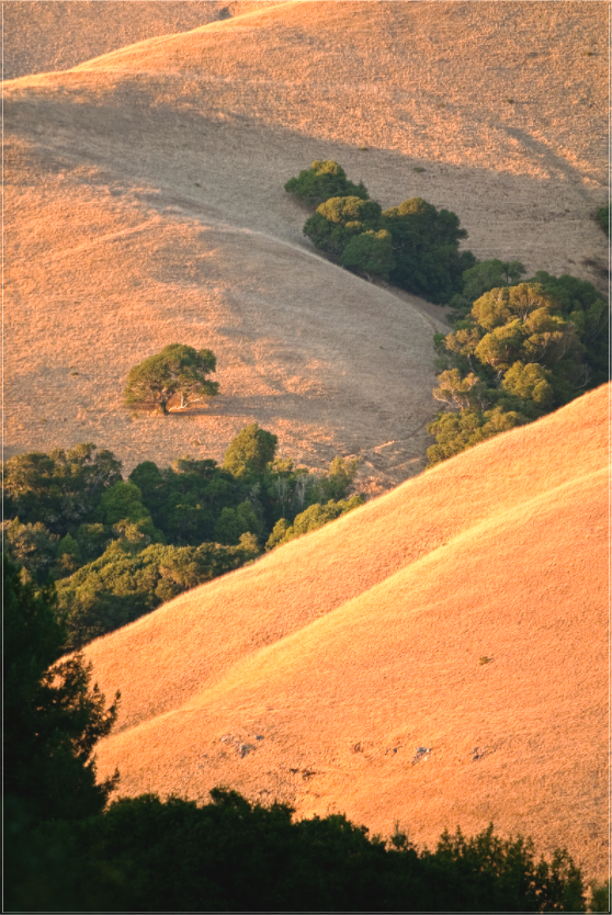 Undulations (Collector Edition)