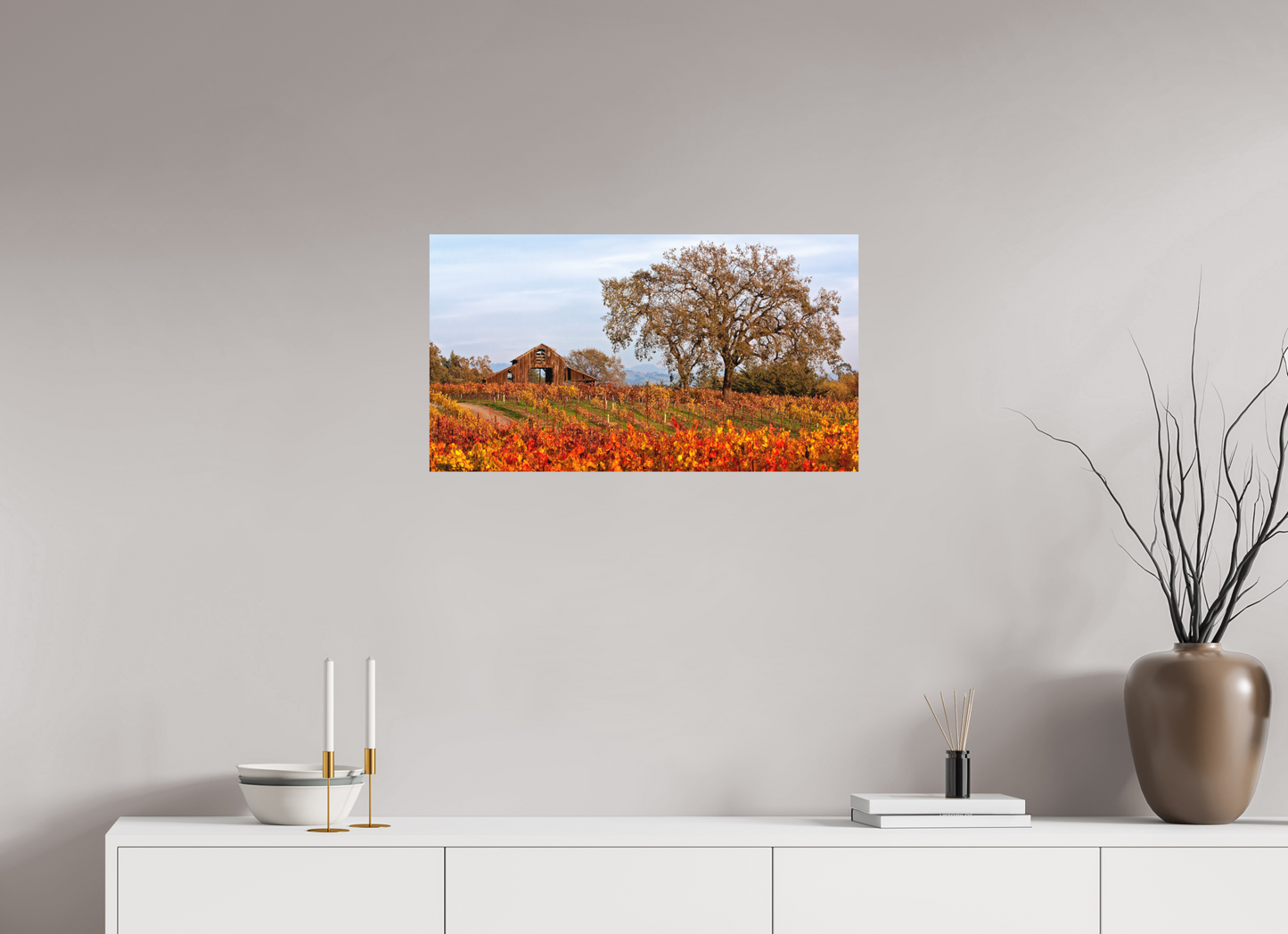 Barn and Vineyards