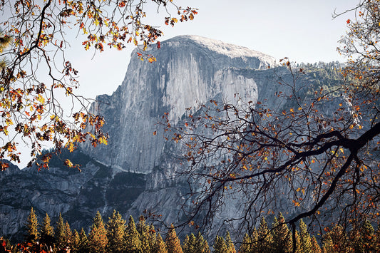 Custom 5 or more day Photo Tour Reservation Deposit