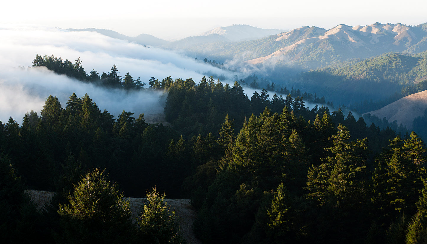 Mt Tamalpais in Fall