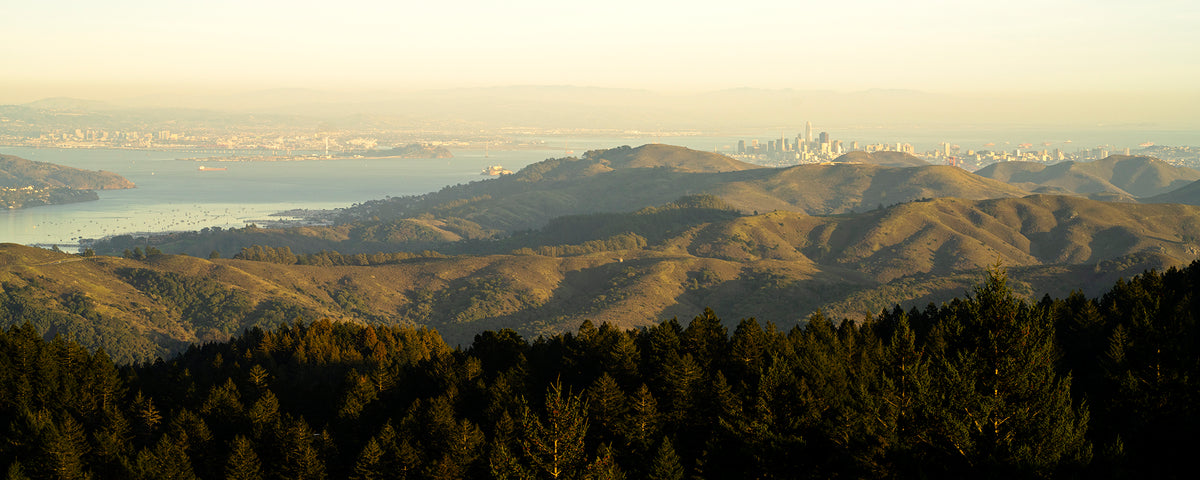 Mt Tamalpais in Late Winter