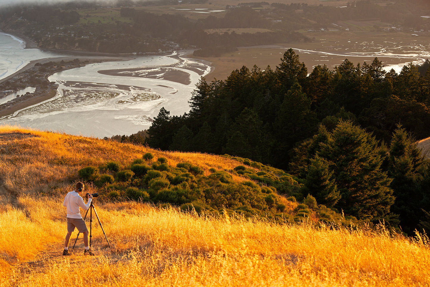 Mt Tamalpais in Summer