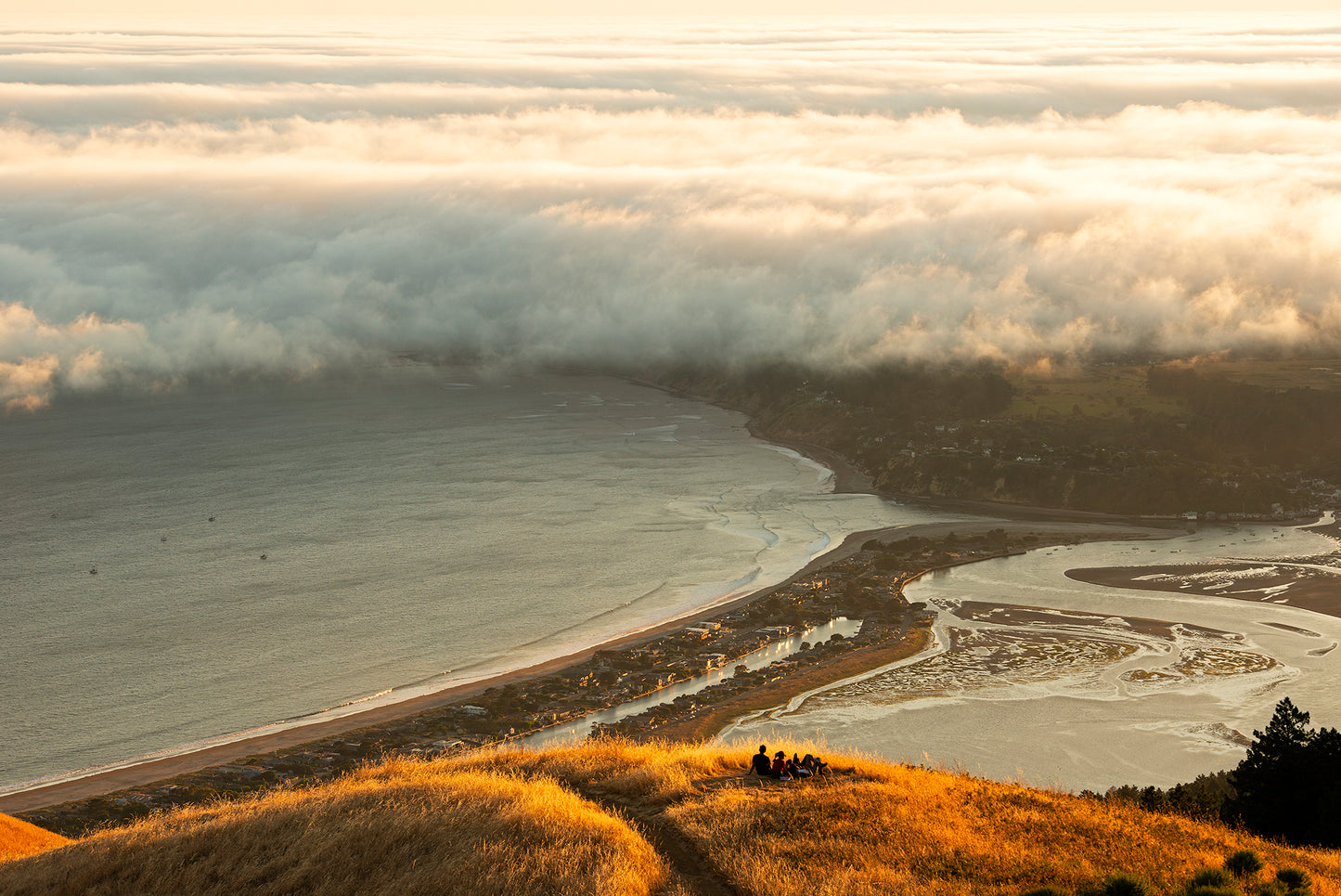 Mt Tamalpais in Summer