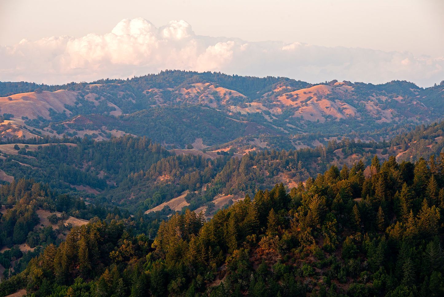 Northwest Sonoma County in Summer
