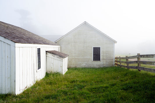 Point Reyes & West Marin County in Winter