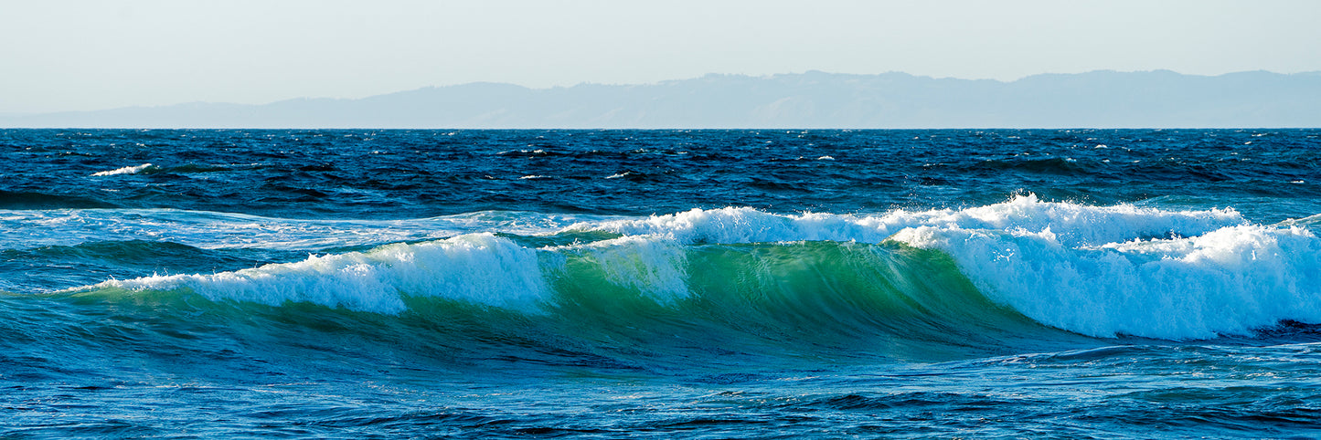 Point Reyes & West Marin County in Fall