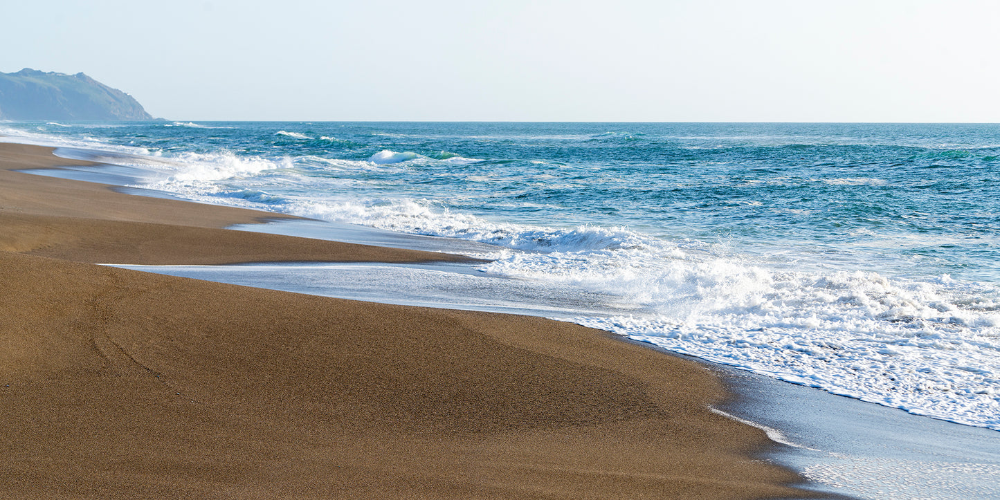 Point Reyes & West Marin County in Spring