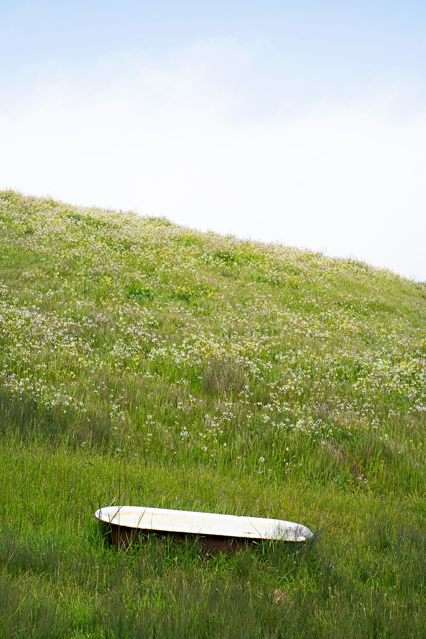 Point Reyes & West Marin County in Spring