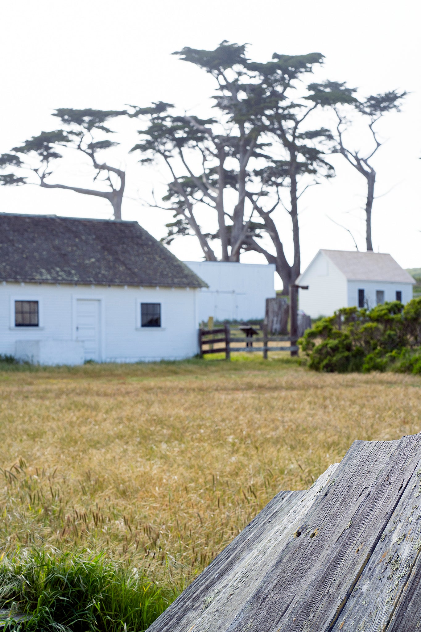 Point Reyes & West Marin County in Spring