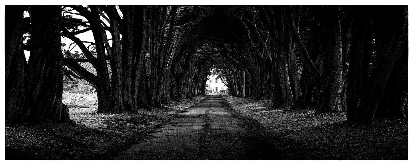 Point Reyes & West Marin County in Late Winter