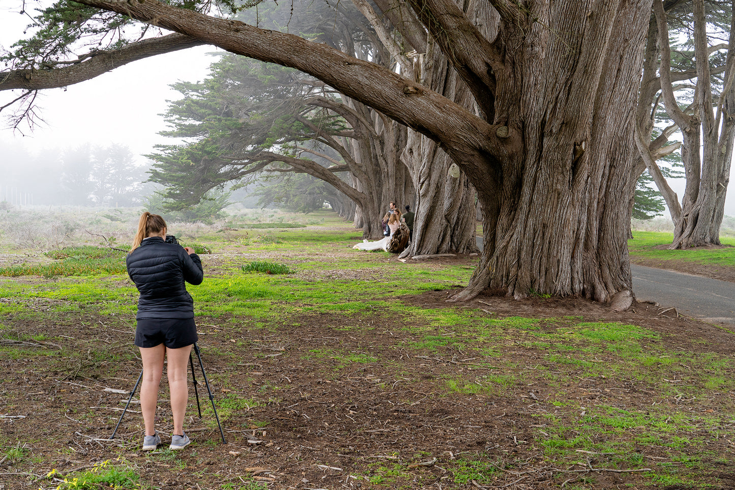Point Reyes & West Marin County in Late Winter