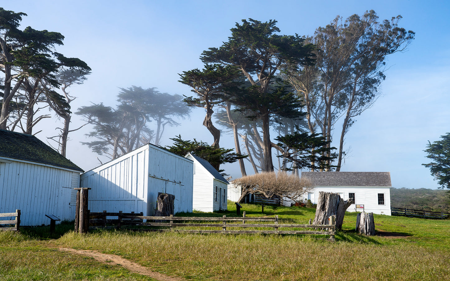 Point Reyes & West Marin County in Late Winter