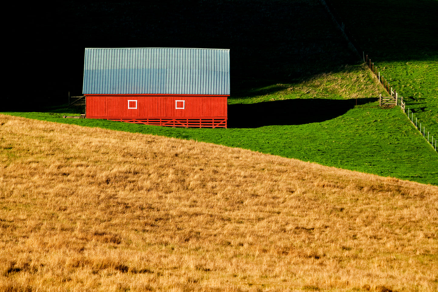 A vivid red barn with a metal roof sits at the edge of sunlight and shadow, surrounded by vibrant green grass and golden hills near Tomales, captured on a winter afternoon after weeks of rain.
