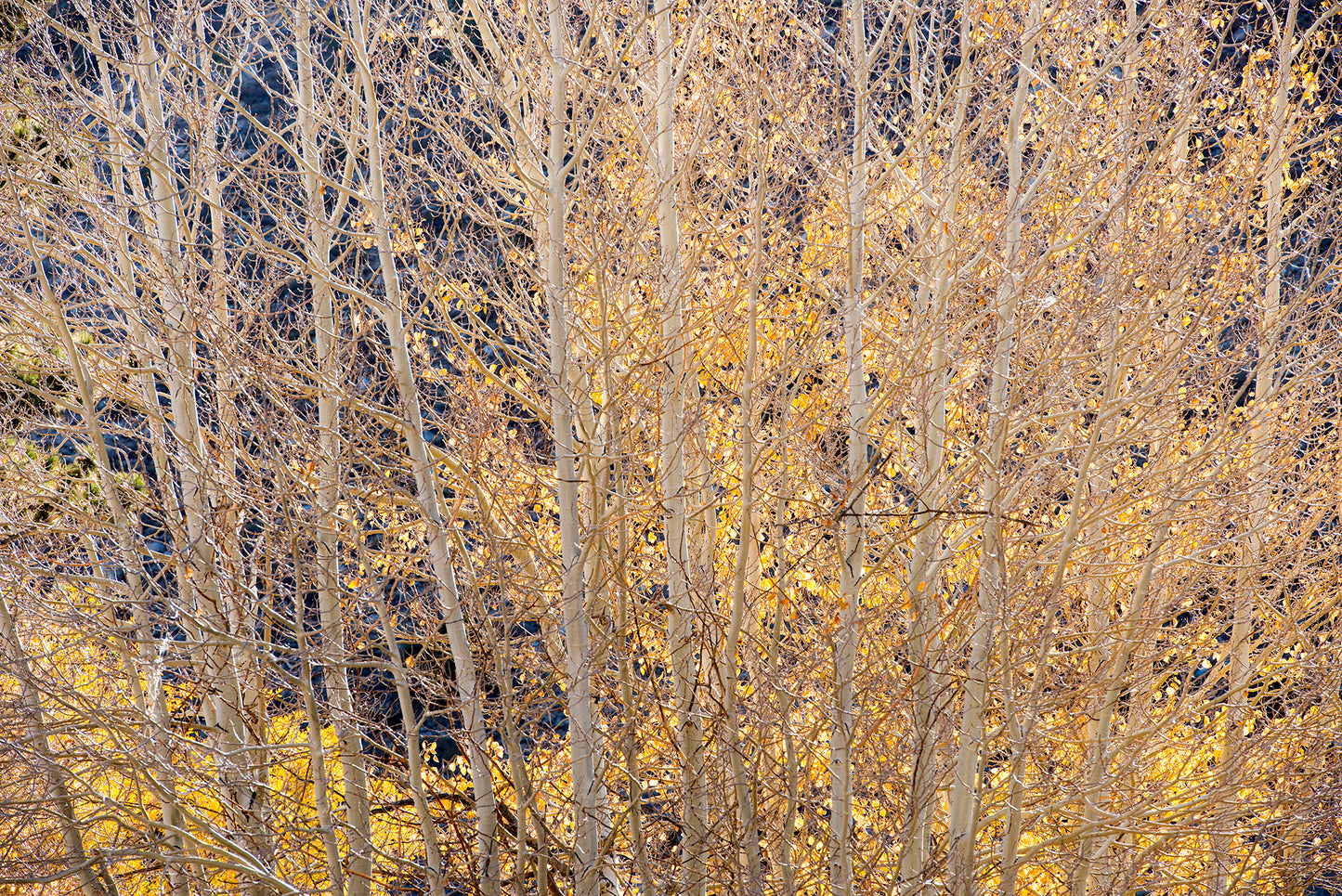 Yosemite and Eastern Sierra in Autumn