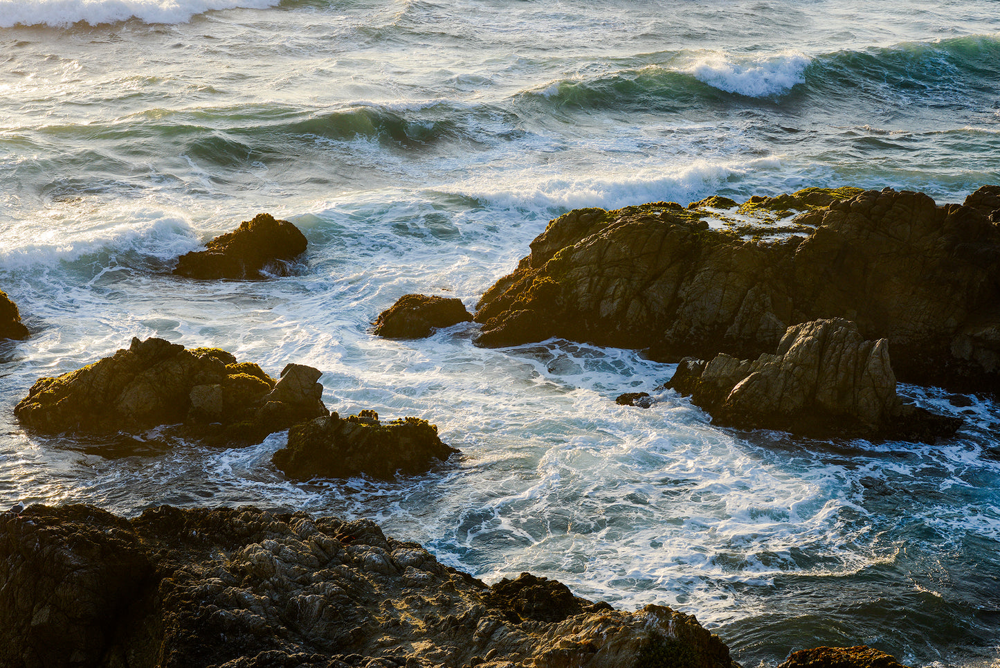 Sonoma Coast in Summer