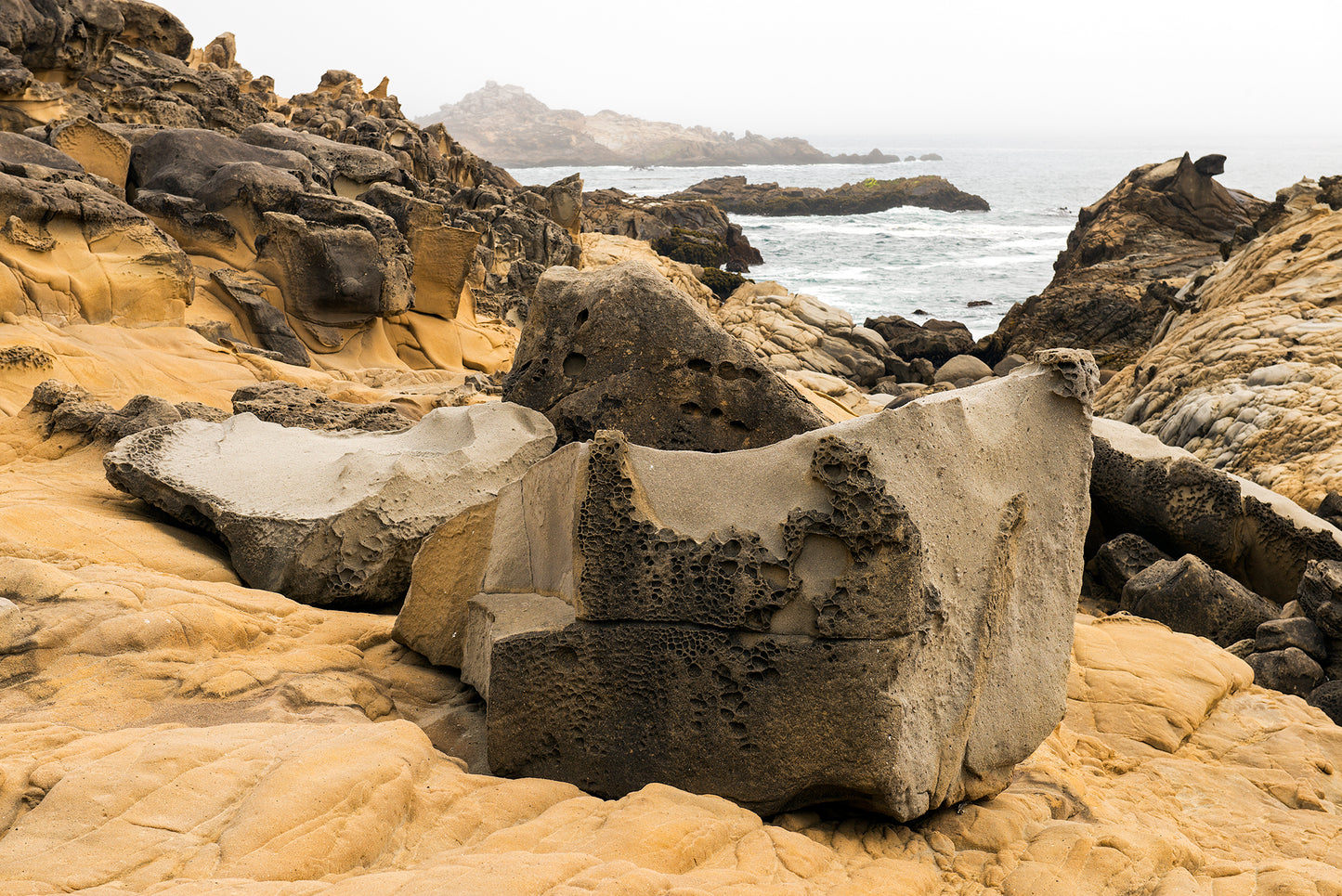 Sonoma Coast in Summer