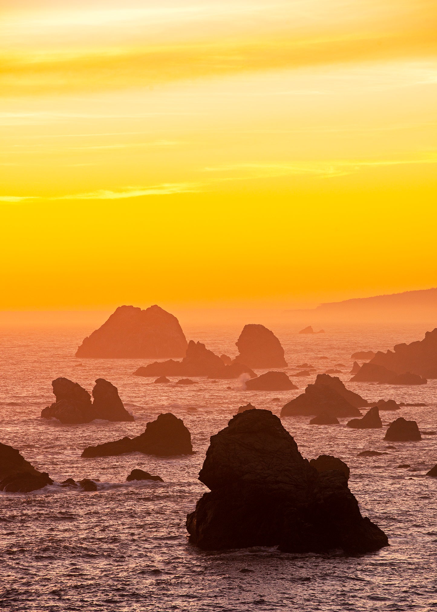 Sonoma Coast in Summer
