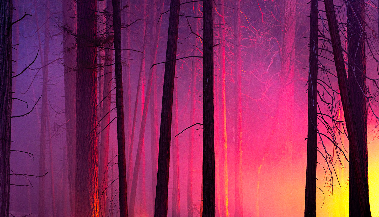 Yosemite in the Fall
