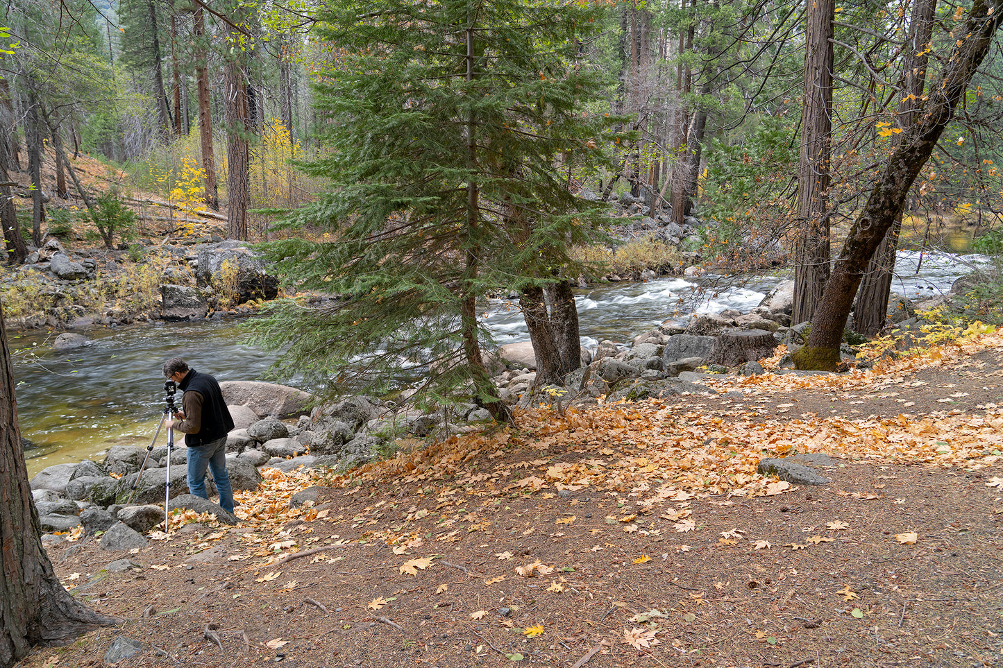 Yosemite in the Fall