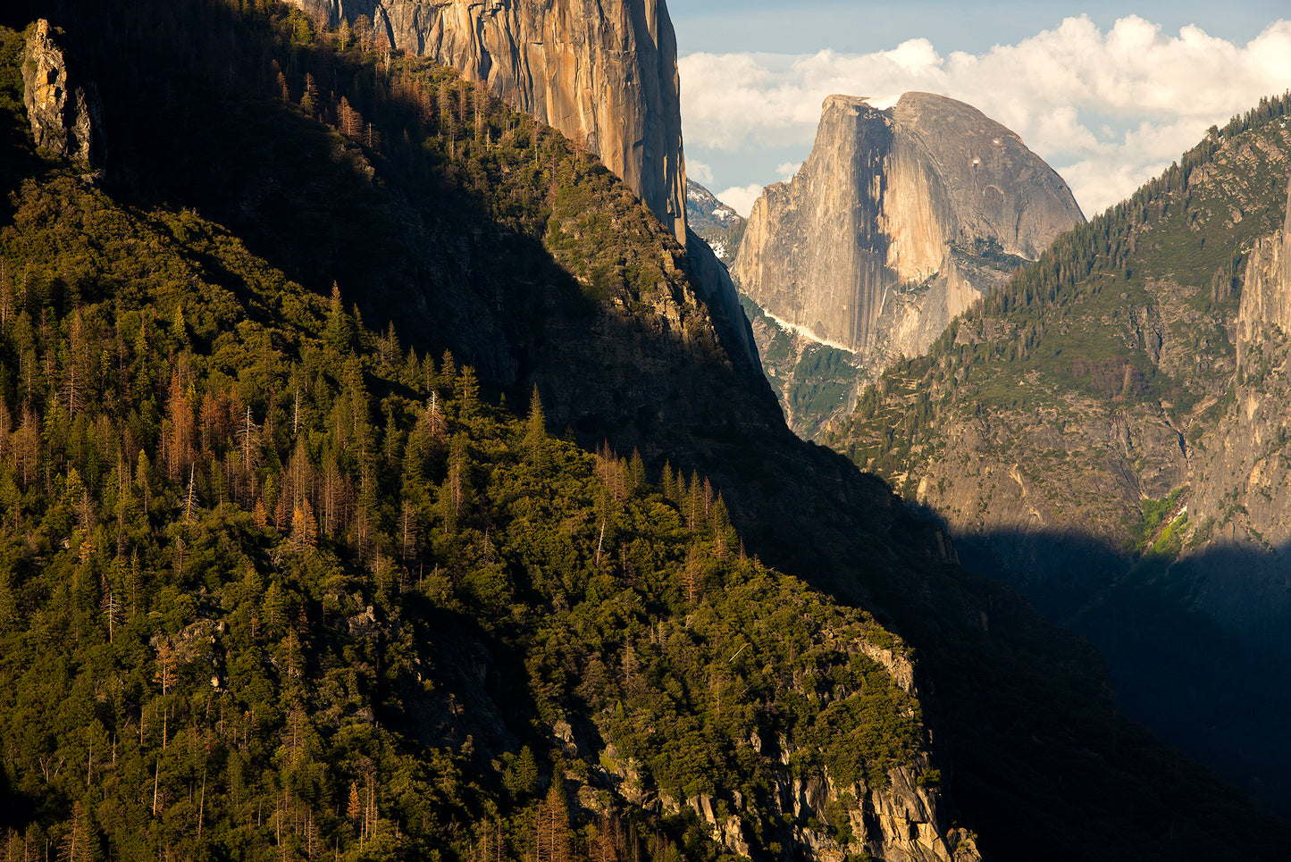 Yosemite in Spring - Peak Flow Waterfalls