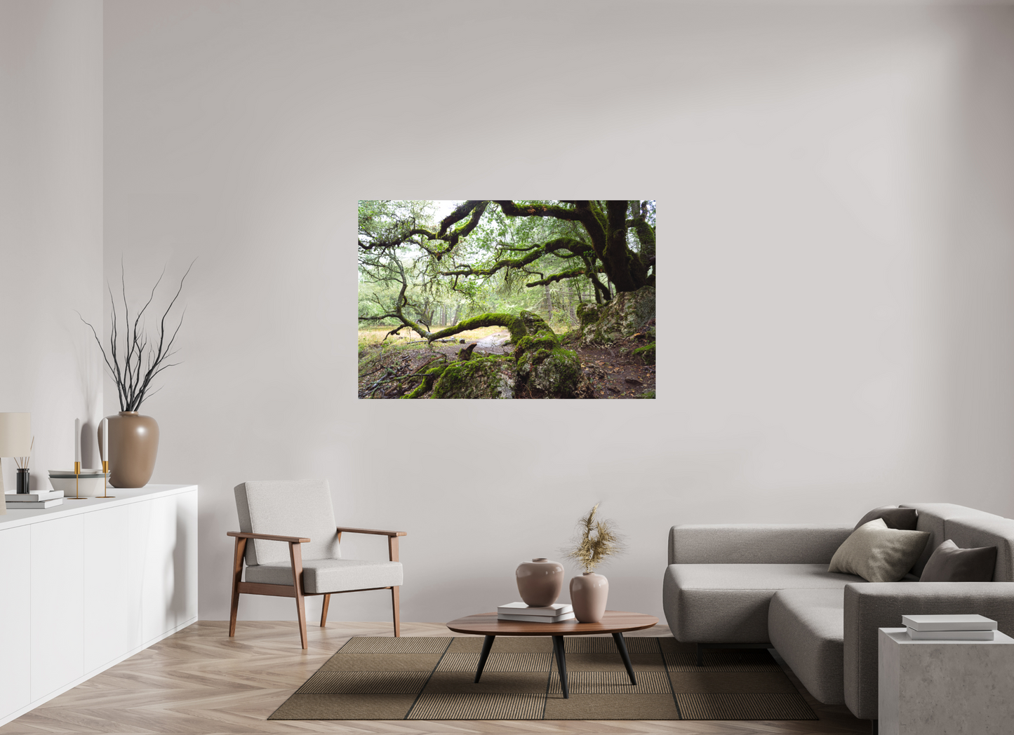 Forest Path (Collector Edition)
