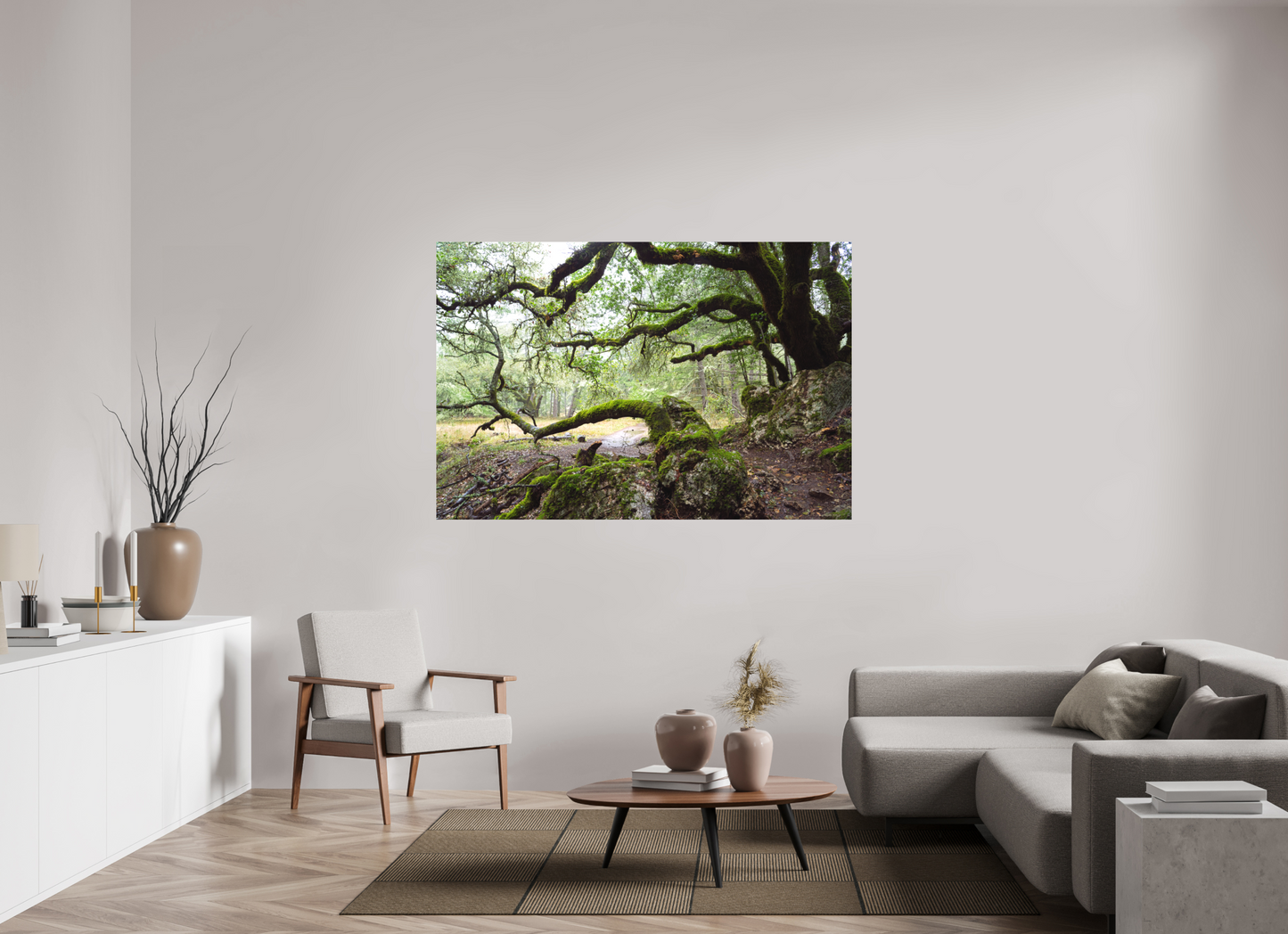 Forest Path (Collector Edition)