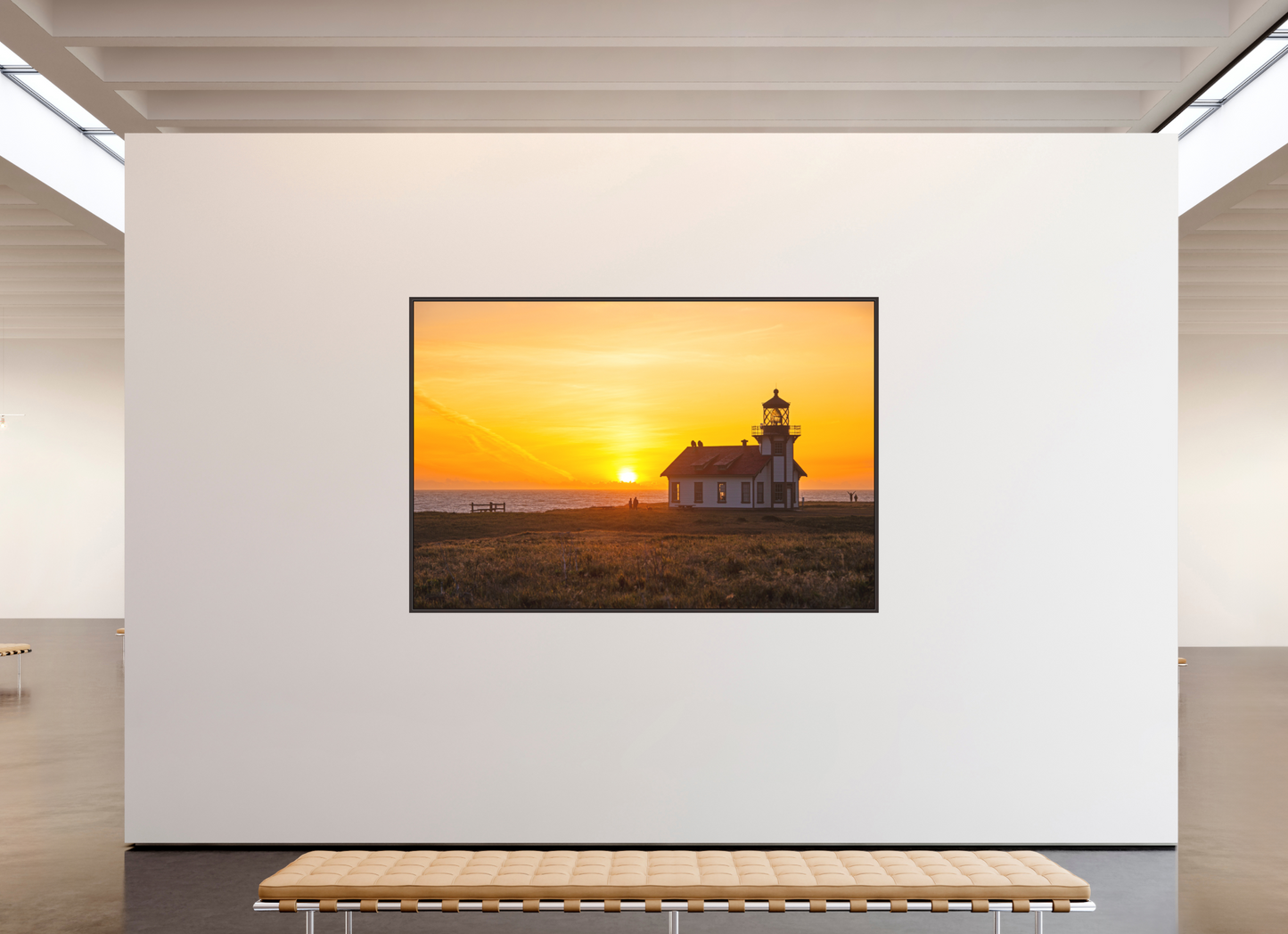 Last Light (Collector Edition)