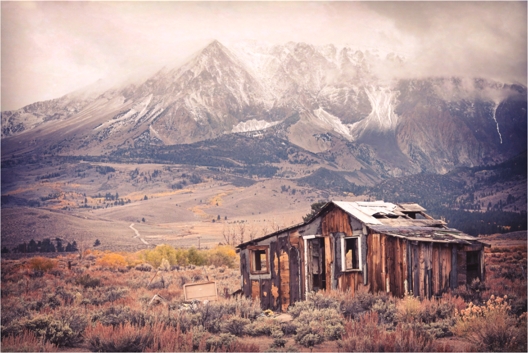 Mountain Cabin (Collector Edition)