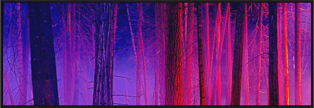Main image The Color of Firelight (Collector's Edition)
