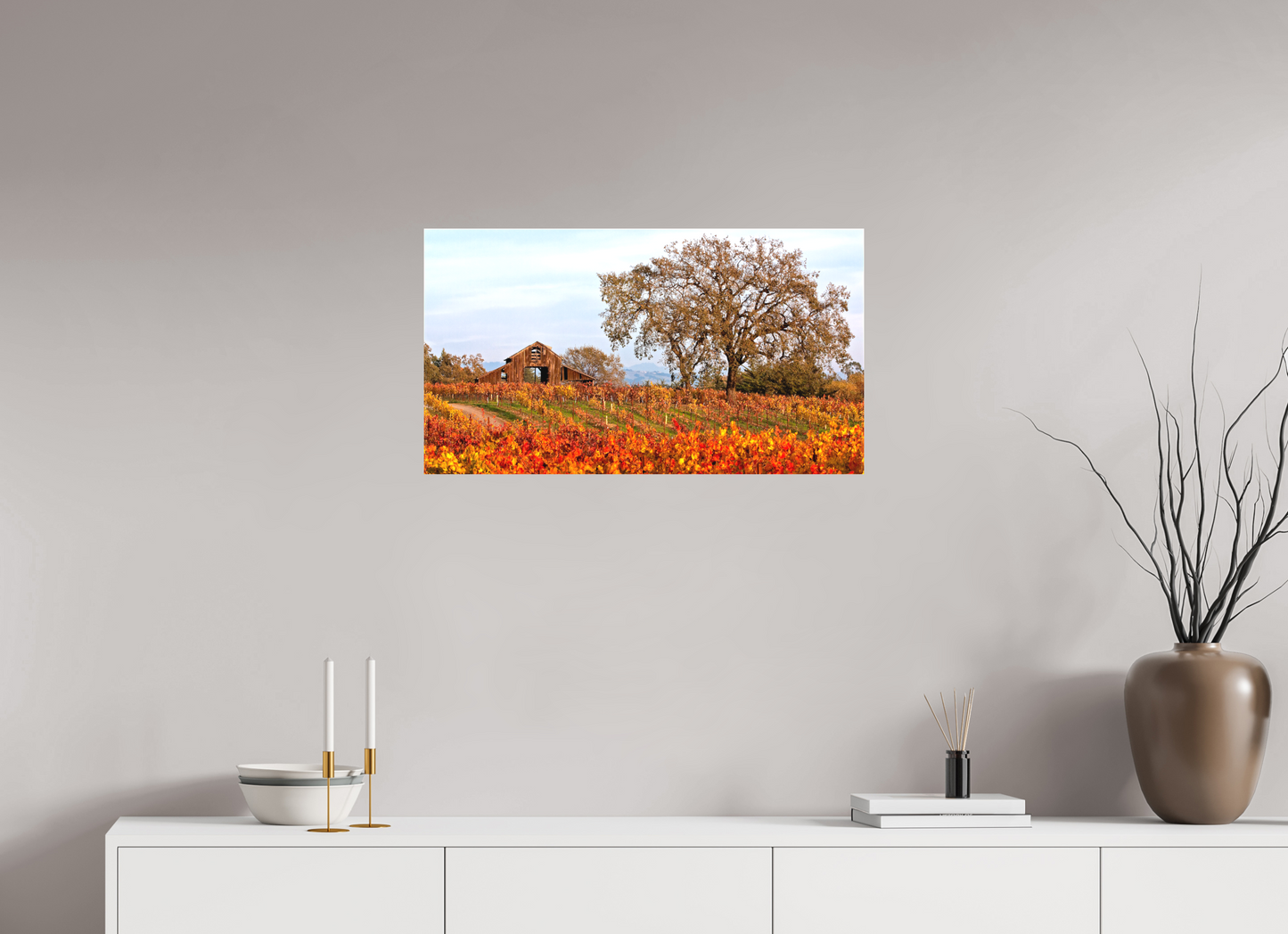 Barn and Vineyards