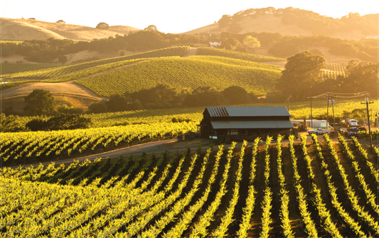 Carneros Barn