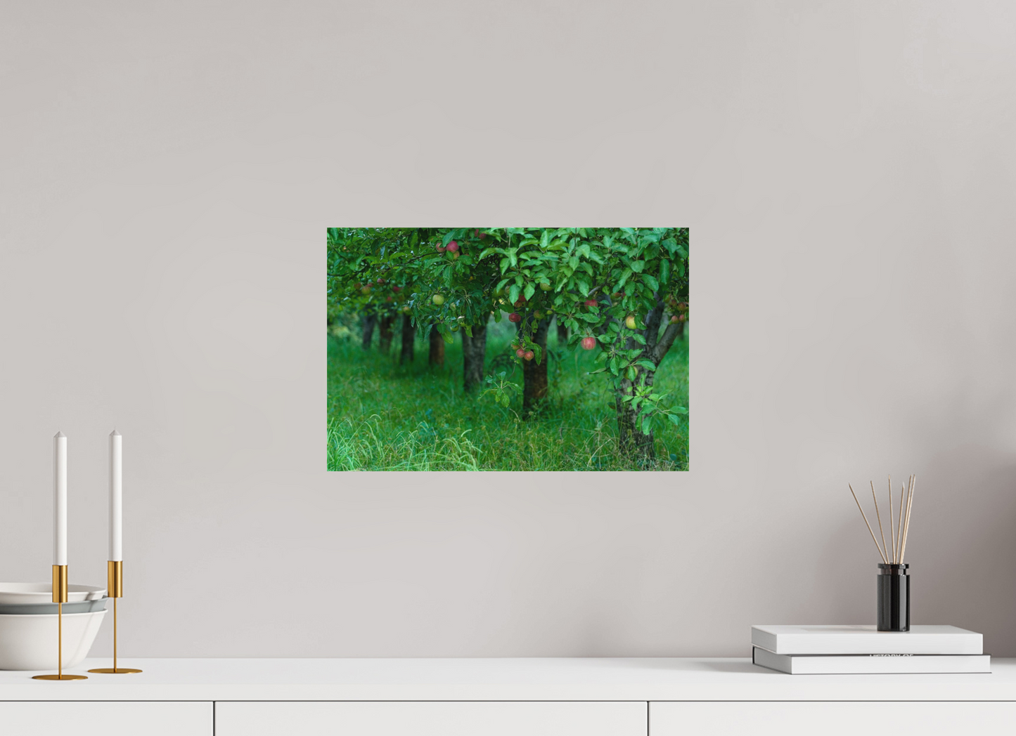 Apple Orchard