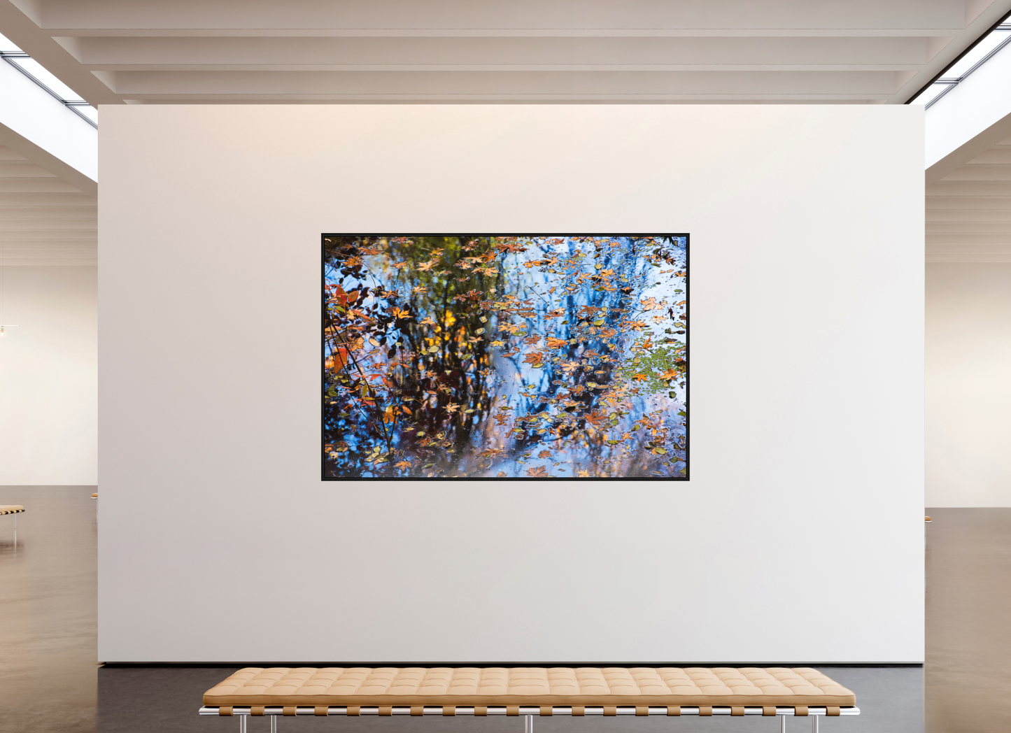 Fall Kaleidoscope (Collector Edition)